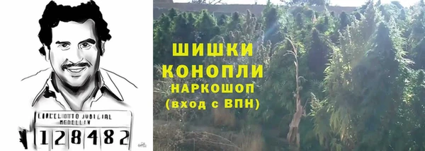 первитин Гусев