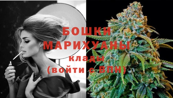первитин Гусев