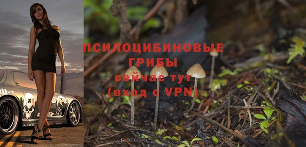 винт Гусиноозёрск