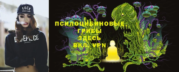 таблы Гусь-Хрустальный
